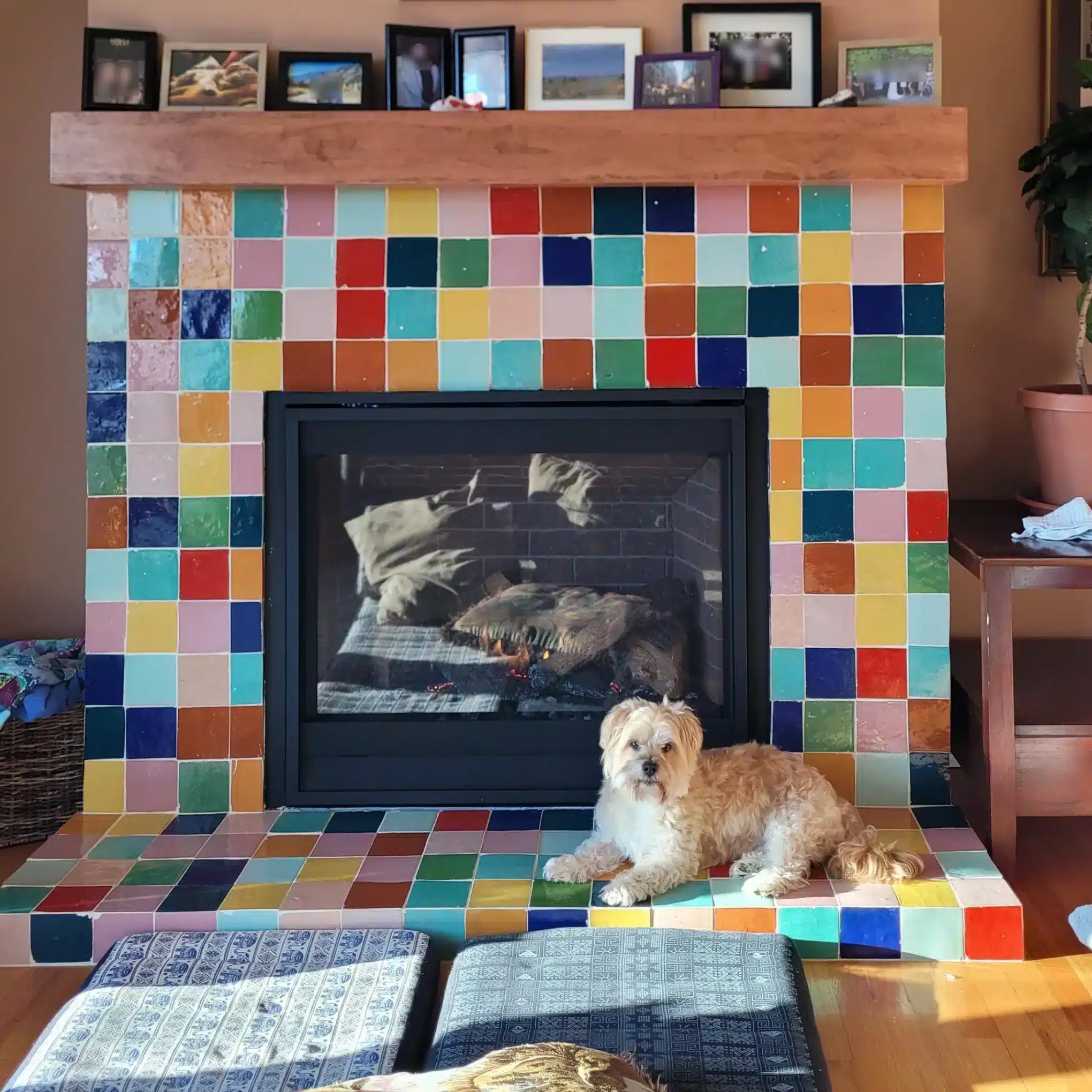 color tiles
